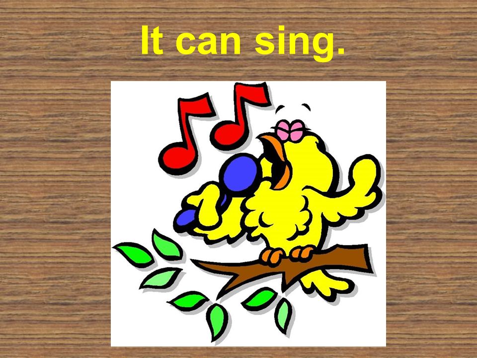 We can sing. They can Sing. A Bird can Sing.