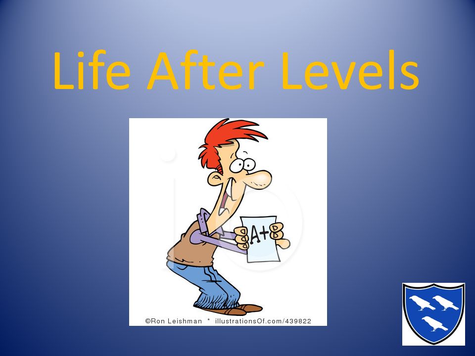 Life After Levels
