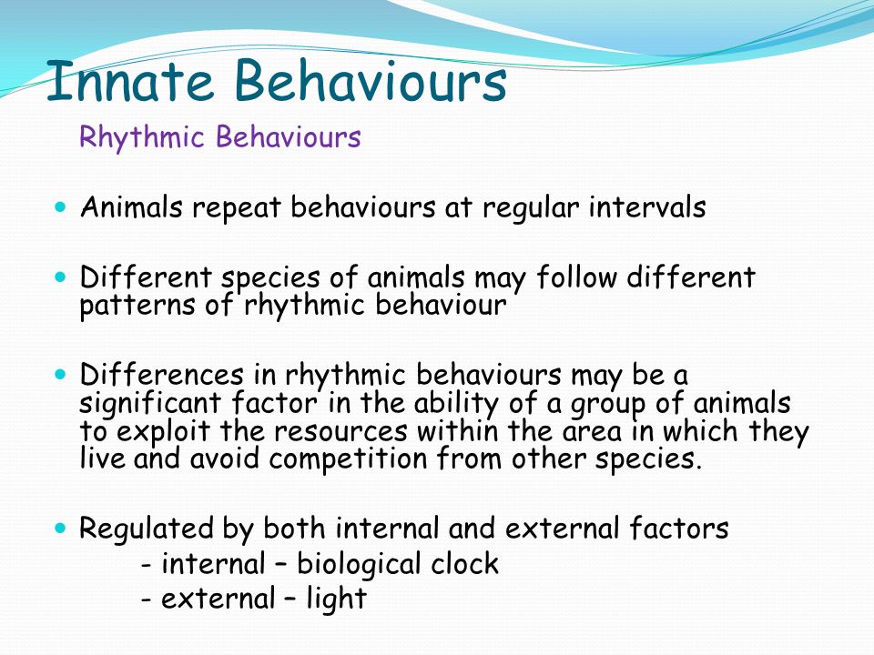 BEHAVIOURAL ADAPTATIONS Behaviour in Animals. Innate Behaviours Rhythmic  Behaviours Animals repeat behaviours at regular intervals Different species  of. - ppt download