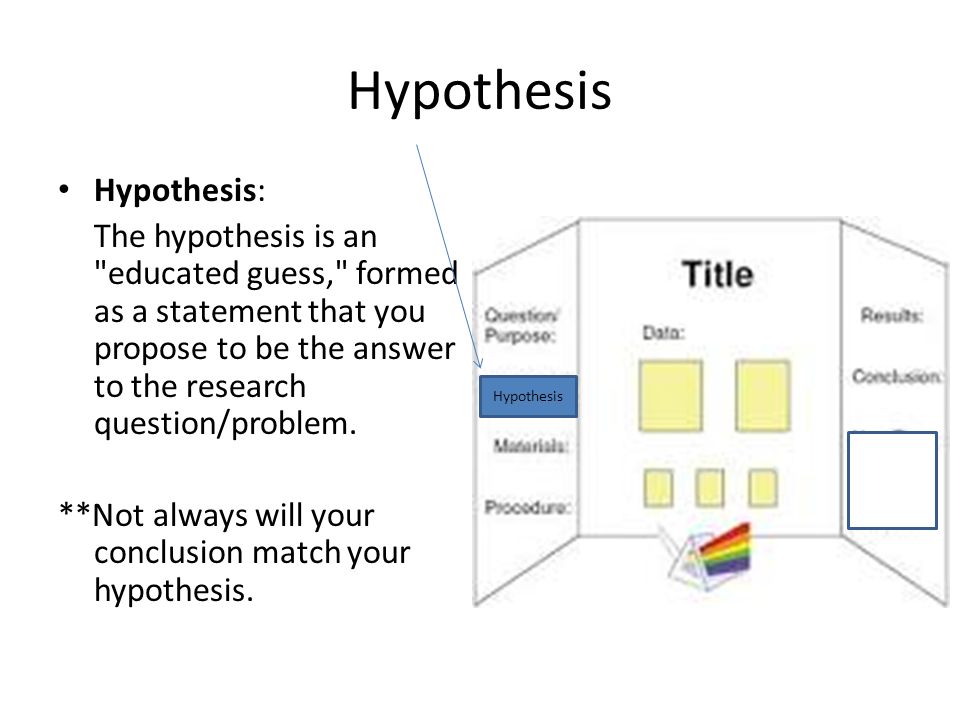 Hypothesis Hypothesis: The hypothesis is an educated guess, formed as a statement that you propose to be the answer to the research question/problem.