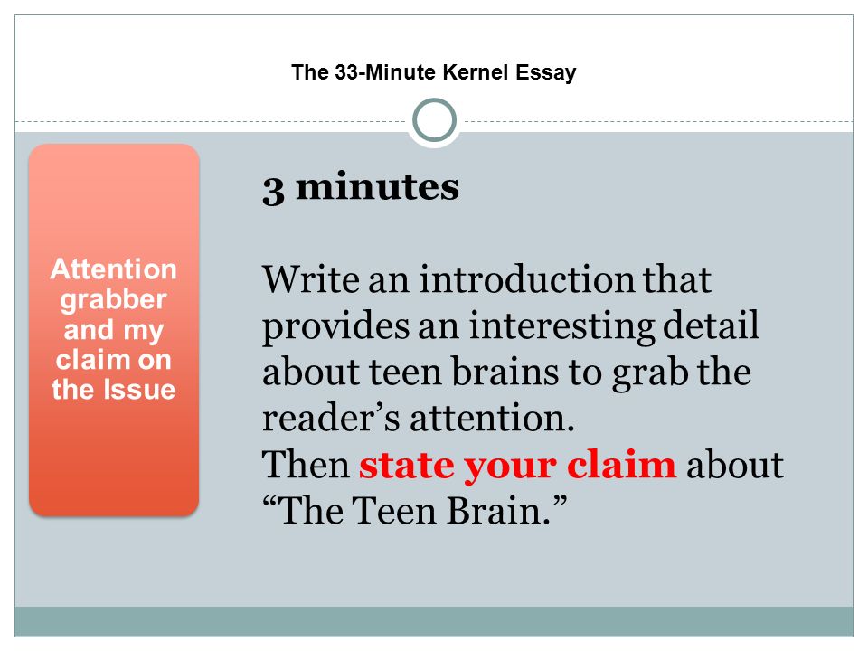 teenage brain essay