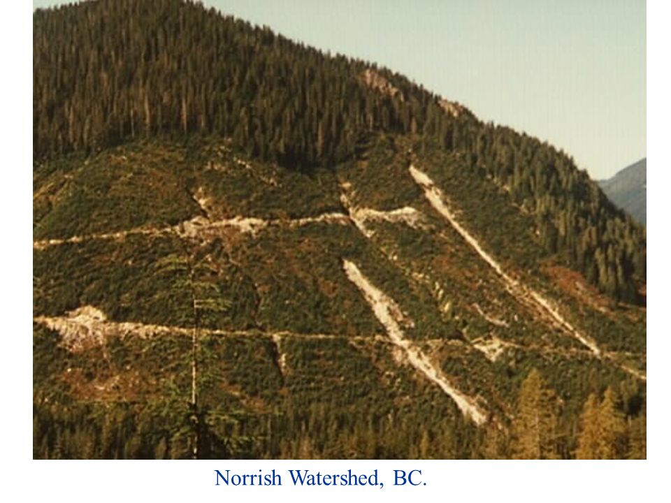 Norrish Watershed, BC.