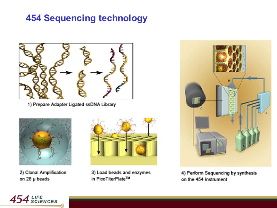454 Sequencing technology