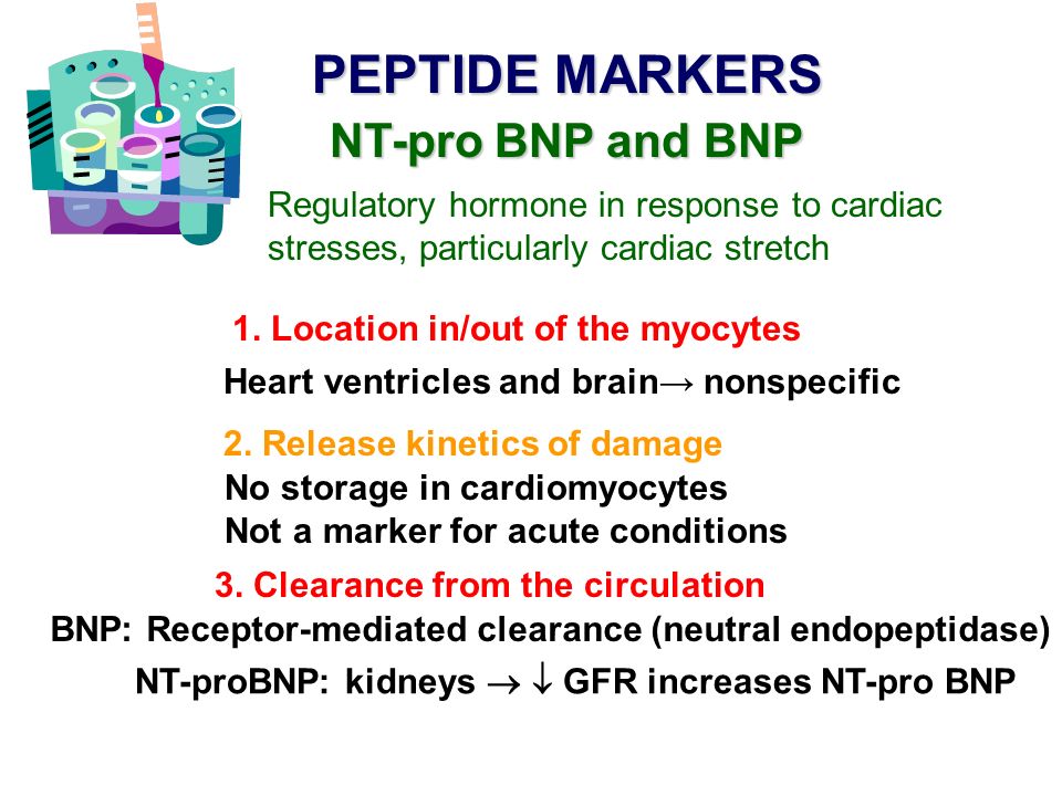 Amino-Terminal Pro-Brain Natriuretic Peptide, Brain Natriuretic Peptide,  and Troponin T for Prediction of Mortality in Acute Heart Failure. - ppt  download