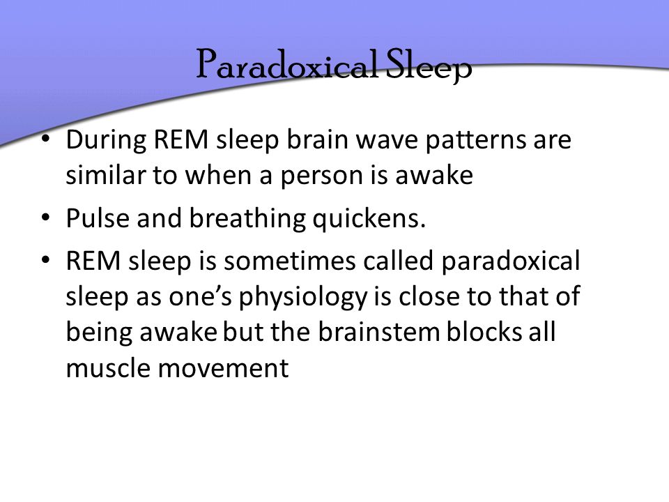 Synonyms for PARADOXICAL SLEEP - Thesaurus.net
