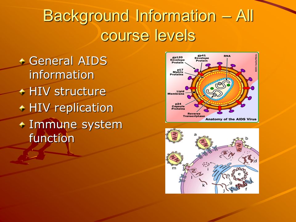 Background Information – All course levels General AIDS information HIV structure HIV replication Immune system function