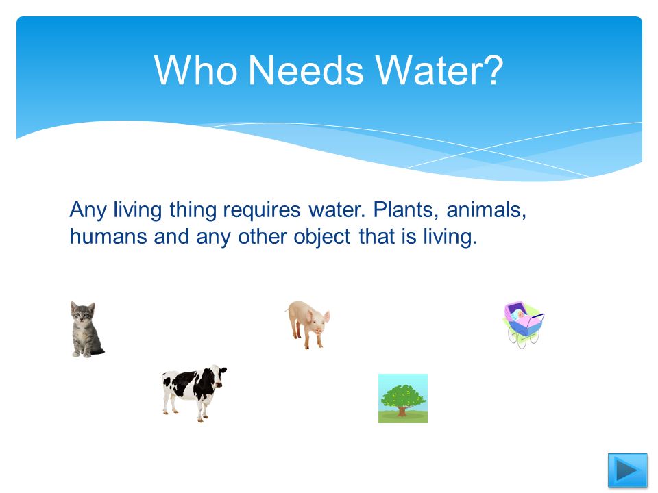 Who Needs Water Lisa Starnes.  Content Area: Science   Grade Level:  Kindergarten   Activity Summary: Read the power point about living and  non- living. - ppt download