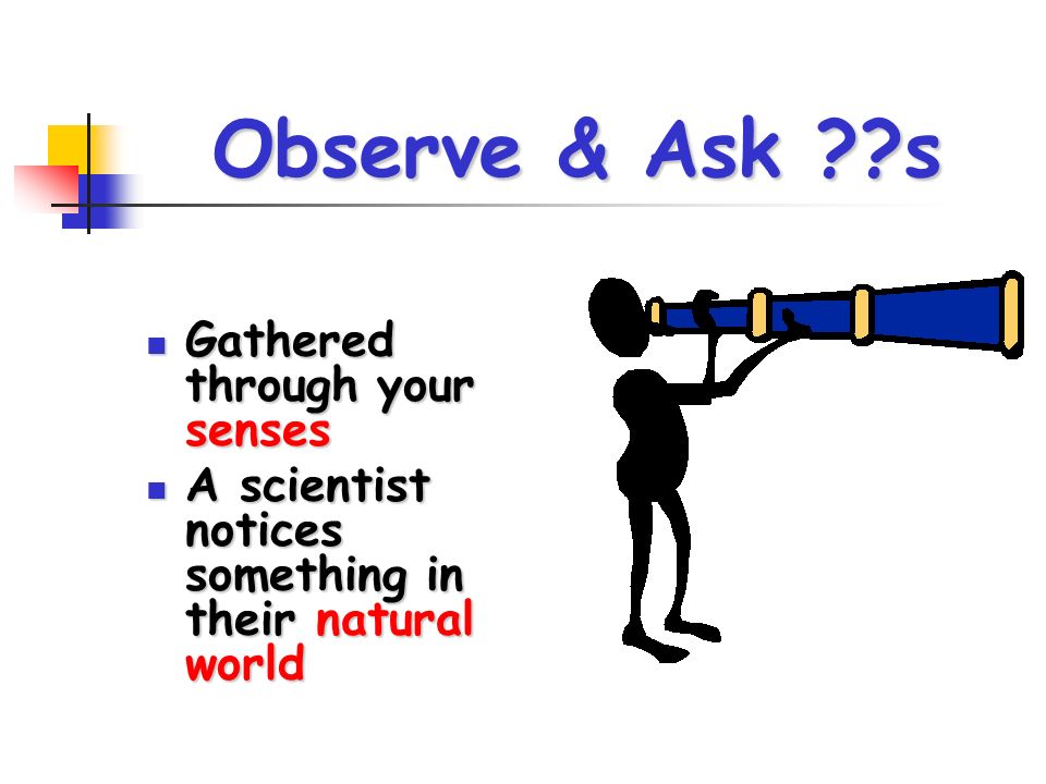 Observe & Ask s Gathered through your senses Gathered through your senses A scientist notices something in their natural world A scientist notices something in their natural world