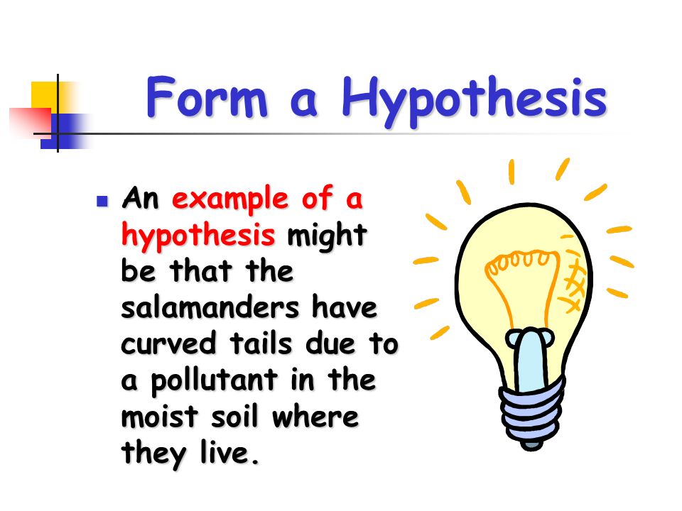 Form a Hypothesis An example of a hypothesis might be that the salamanders have curved tails due to a pollutant in the moist soil where they live.