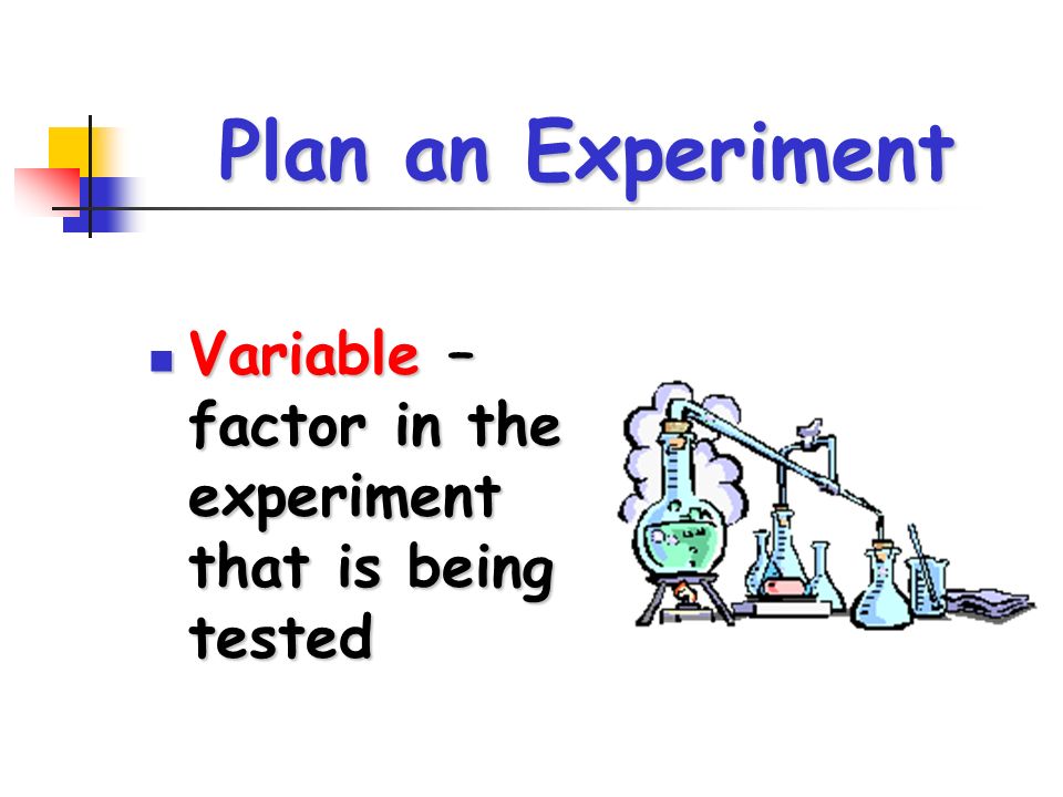 Plan an Experiment Variable – factor in the experiment that is being tested Variable – factor in the experiment that is being tested