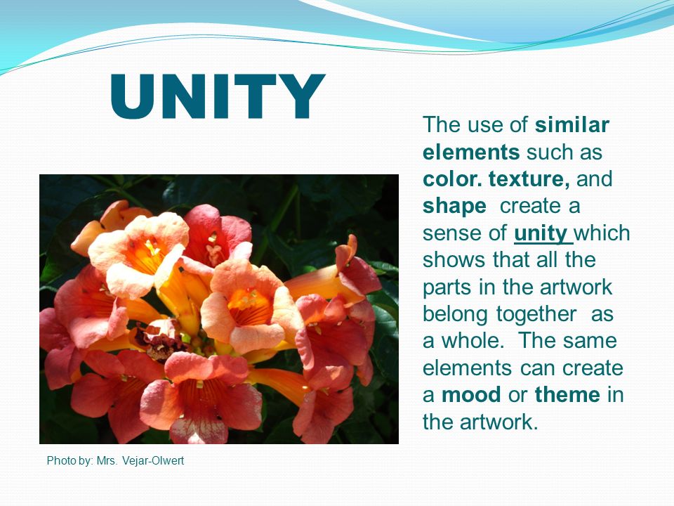 UNITY The use of similar elements such as color.
