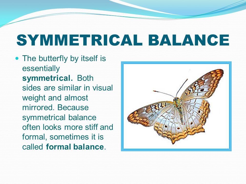 SYMMETRICAL BALANCE The butterfly by itself is essentially symmetrical.
