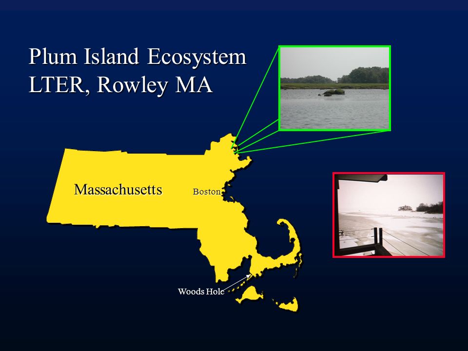 Massachusetts Boston Woods Hole Plum Island Ecosystem LTER, Rowley MA
