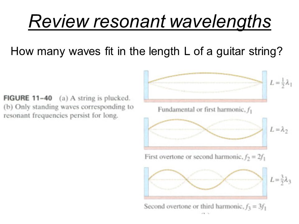 Review resonant wavelengths How many waves fit in the length L of a guitar string