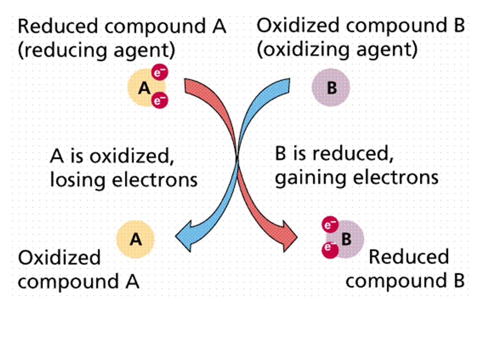 Redox Reactions The Corrosion Of Metals Especially The Corrosion Of Iron Rusting Has A Great Economic Impact Rust Is One Of The Common Causes Of Bridge Ppt Download