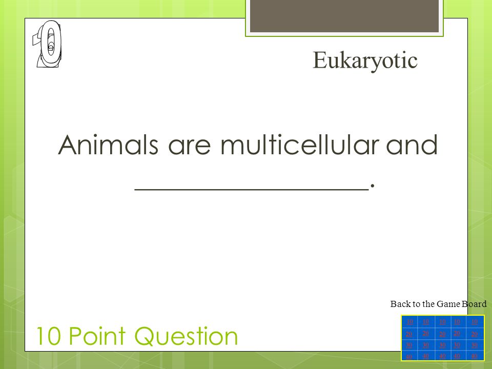 Jeopardy Start Final Jeopardy Question Animal Classification  InvertebratesVertebrate Vertebrate 2 Characteristics of Vertebrates ppt  download