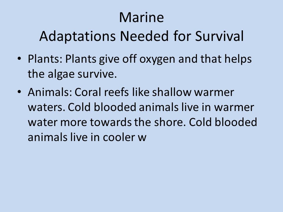 Marine Biome Research By Laiken Mckay. Marine Geography & Climate Location:  The Pacific, Atlantic, Indian, Arctic, and Southern. Description: Very  Salty, - ppt download