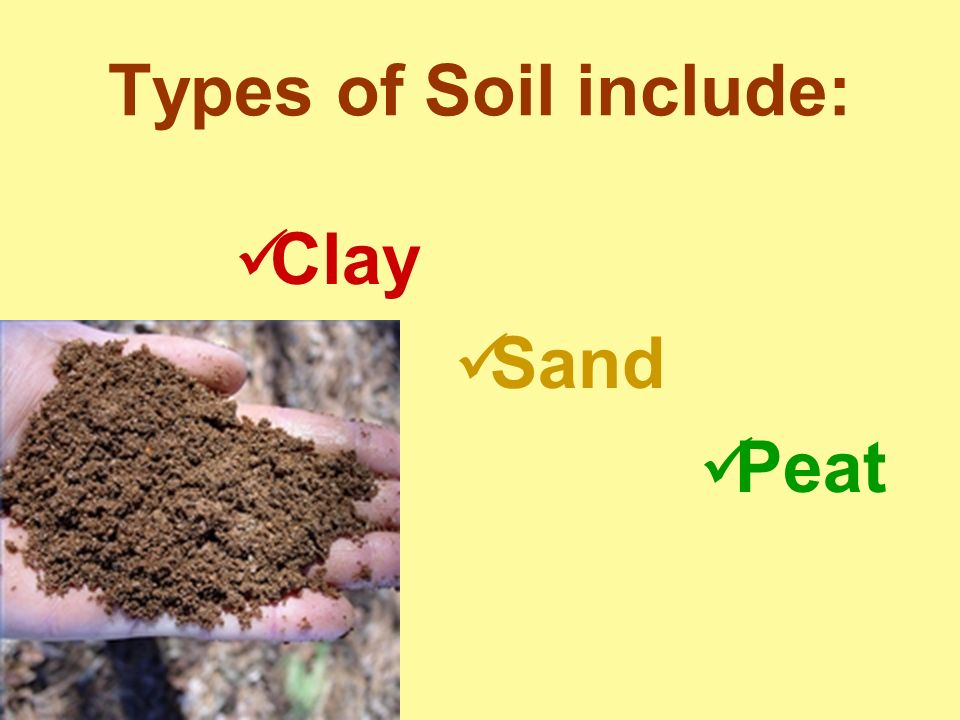 SOIL THE LOOSE SURFACE LAYER OF THE EARTH BY: DYLAN PAULUS. - ppt download