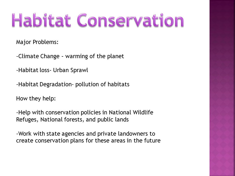 Protect native animals and plants in natural communities. In ways such as: - Wildlife and habitat Conservation -Safeguarding biodiversity -Works with  local, - ppt download