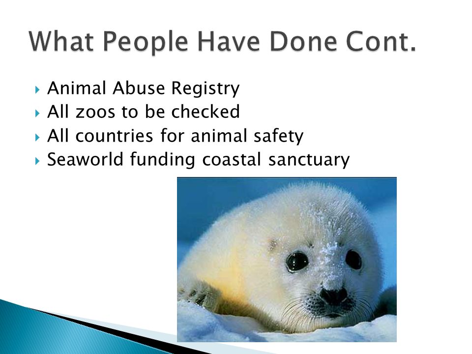  Animal Abuse Registry  All zoos to be checked  All countries for animal safety  Seaworld funding coastal sanctuary