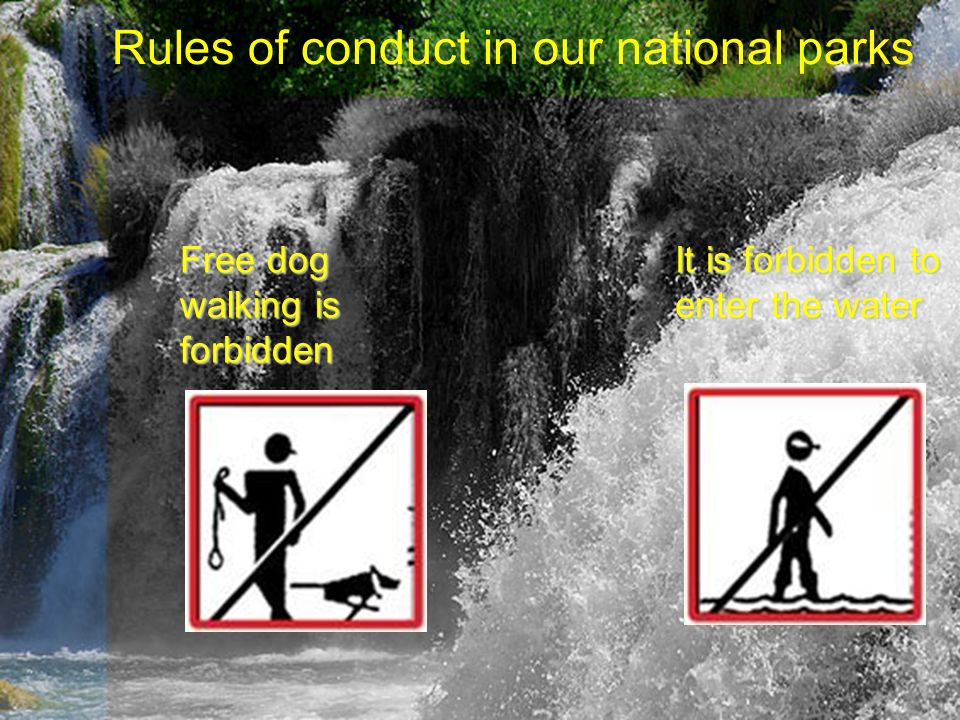 Rules of conduct in our national parks Free dog walking is forbidden It is forbidden to enter the water