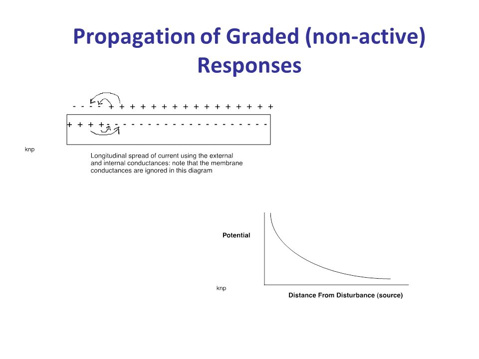 Propagation of Graded (non-active) Responses