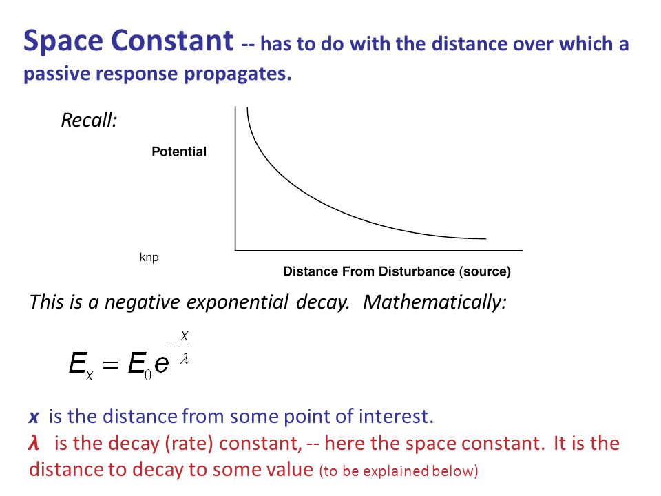 This is a negative exponential decay.