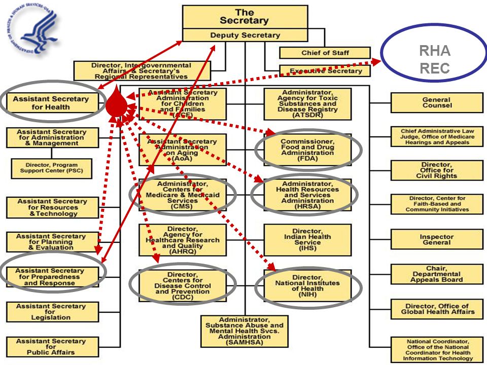 Hhs Aspr Org Chart