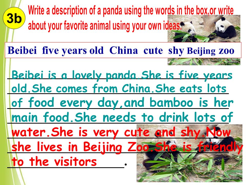 3b Beibei five years old China cute shy Beijing zoo ____________________________________ ____________________________________ ____________________________________ ____________________________________ ____________________________________ ____________________________________ ___________________.