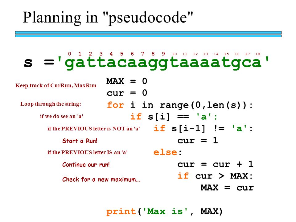 Planning in pseudocode s = gattacaaggtaaaatgca MAX = 0 cur = 0 for i in range(0,len(s)): if s[i] == a : if s[i-1] != a : cur = 1 else: cur = cur + 1 if cur > MAX: MAX = cur print( Max is , MAX) Loop through the string: if we do see an a if the PREVIOUS letter is NOT an a if the PREVIOUS letter IS an a Keep track of CurRun, MaxRun Start a Run.