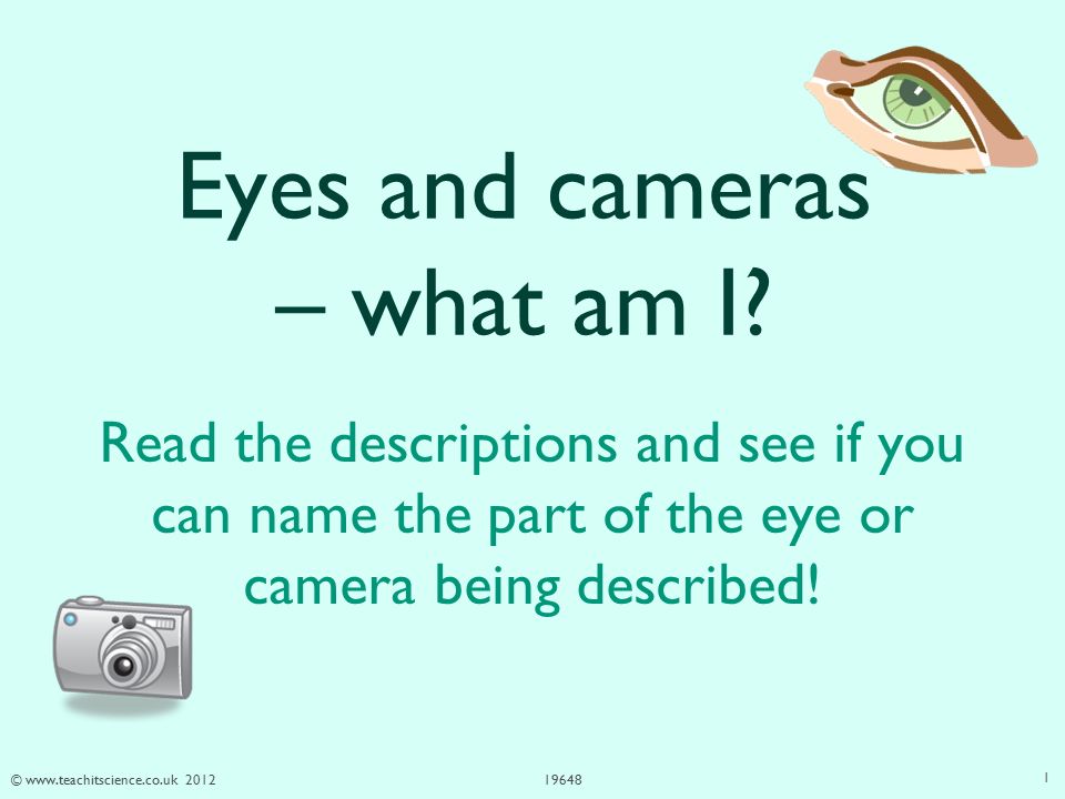 © Eyes and cameras – what am I.