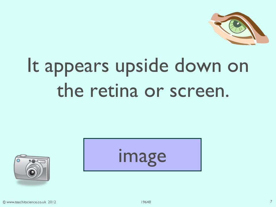 © It appears upside down on the retina or screen. image 7