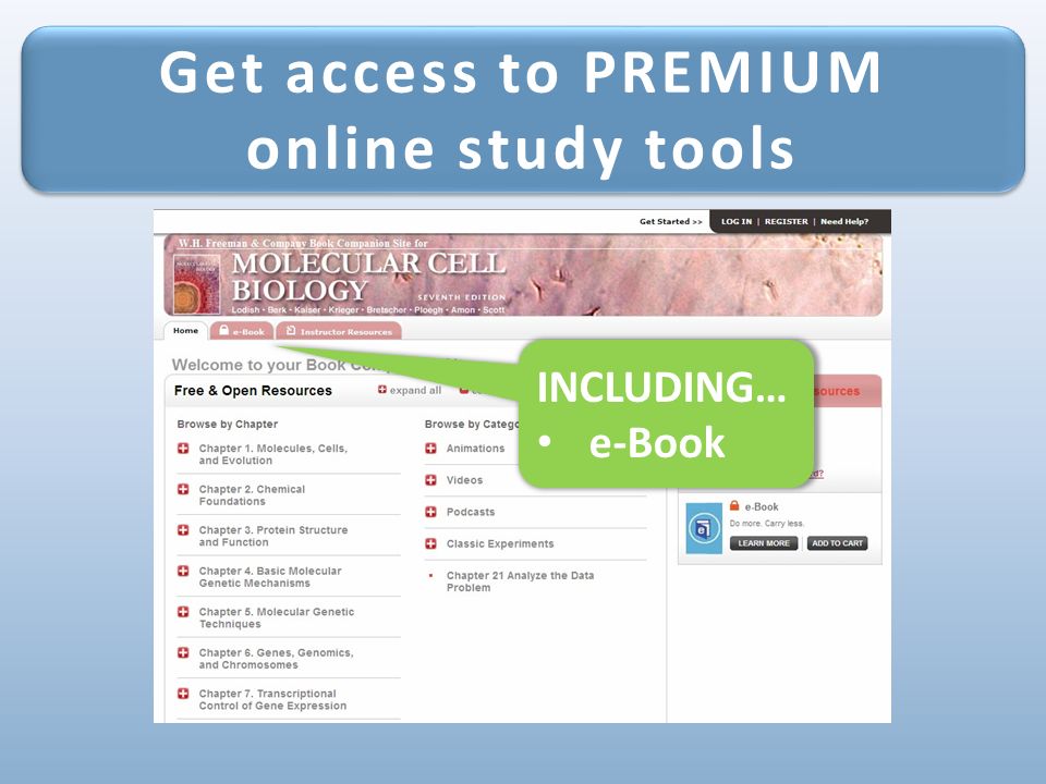 Get access to PREMIUM online study tools Get access to PREMIUM online study tools INCLUDING… e-Book