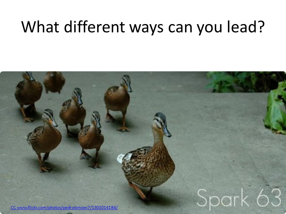 What different ways can you lead CC