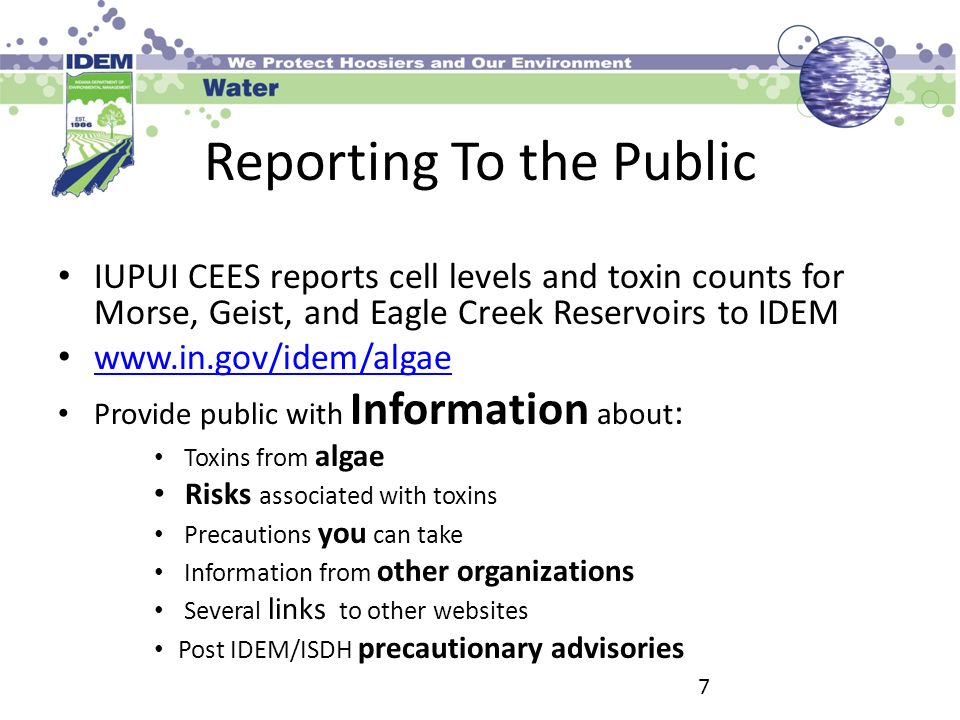 7 Reporting To the Public IUPUI CEES reports cell levels and toxin counts for Morse, Geist, and Eagle Creek Reservoirs to IDEM   Provide public with Information about : Toxins from algae Risks associated with toxins Precautions you can take Information from other organizations Several links to other websites Post IDEM/ISDH precautionary advisories