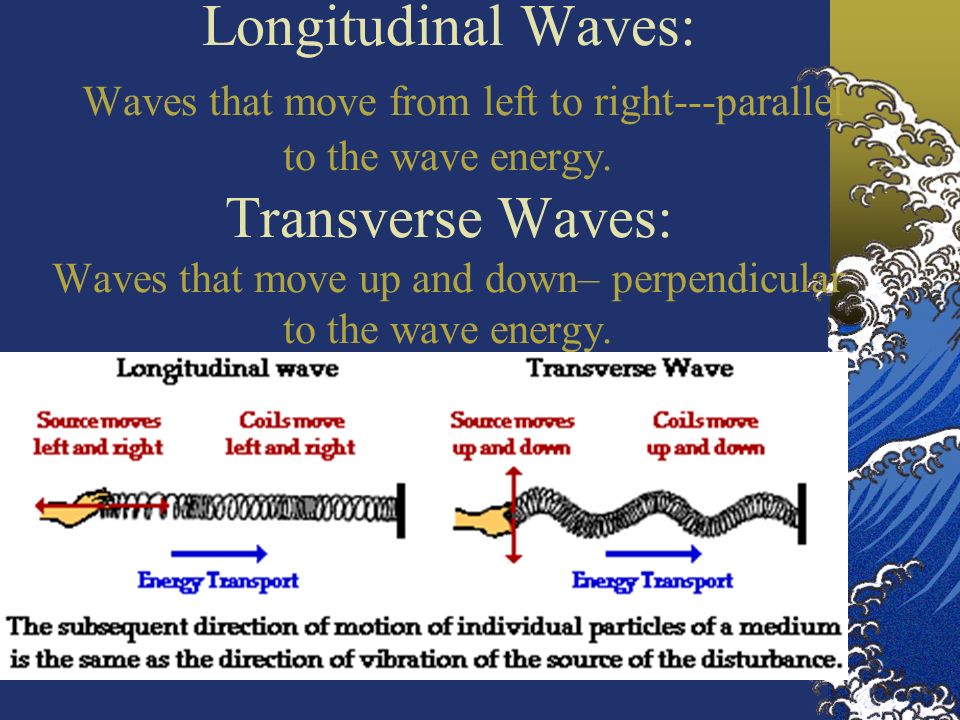 5 Longitudinal Waves: Waves that move from left to right---parallel to the wave energy.