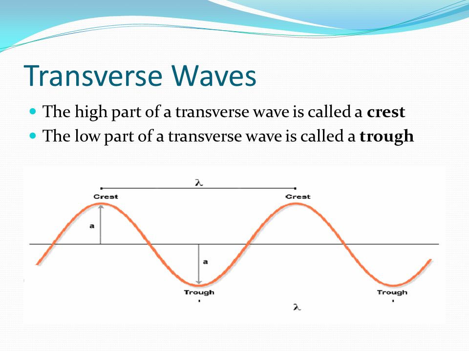 Transverse Waves The high part of a transverse wave is called a crest The low part of a transverse wave is called a trough