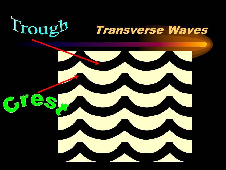 Types of Waves TRANSVERSE wave – wave moved from one end to another, but medium moves perpendicular –ropes LONGITUDINAL wave – wave and medium move same direction –Springs SURFACE wave – combination of both transverse and longitudinal – occurs at surface between two mediums, like air and water –Ocean waves