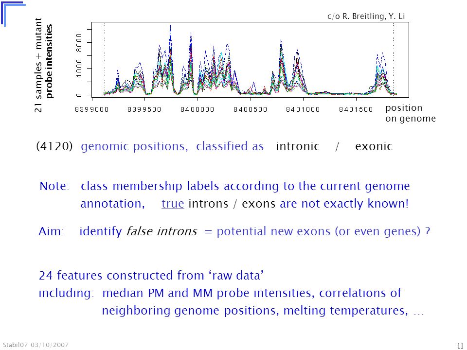 Stabil07 03/10/ position on genome 21 samples + mutant probe intensities Note: class membership labels according to the current genome annotation, true introns / exons are not exactly known.