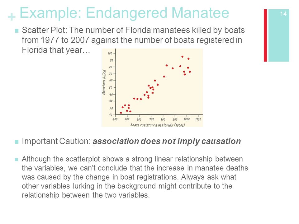 + Example: Endangered Manatee Scatter Plot: The number of Florida manatees killed by boats from 1977 to 2007 against the number of boats registered in Florida that year… Important Caution: association does not imply causation Although the scatterplot shows a strong linear relationship between the variables, we can’t conclude that the increase in manatee deaths was caused by the change in boat registrations.