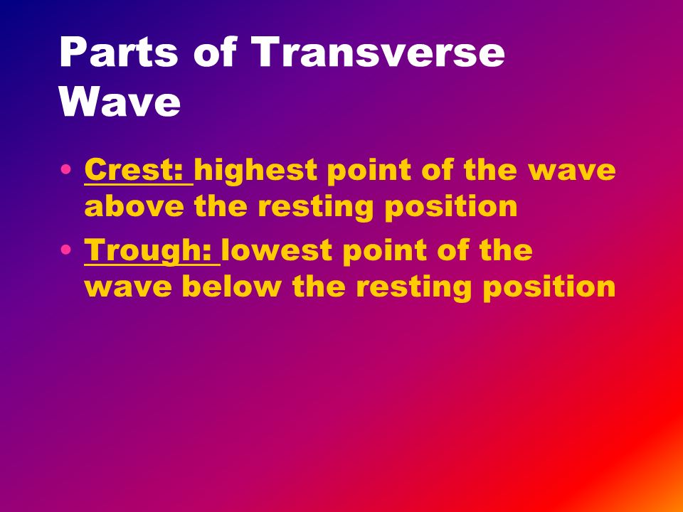 Parts of Transverse Wave Crest: highest point of the wave above the resting position Trough: lowest point of the wave below the resting position