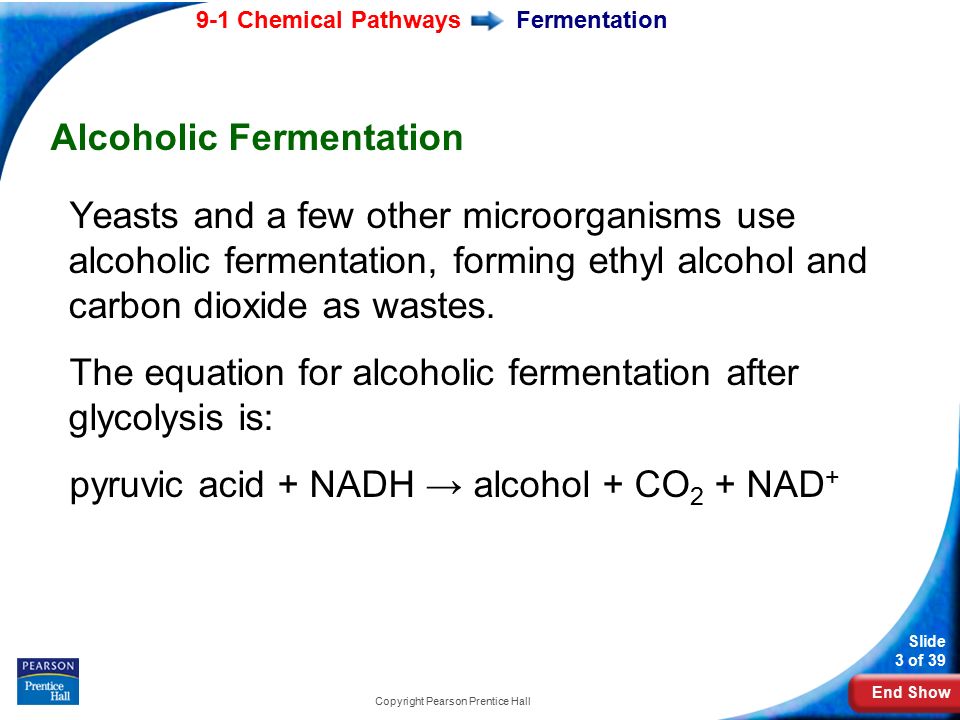 What is the Equation for Alcoholic Fermentation After Glycolysis?