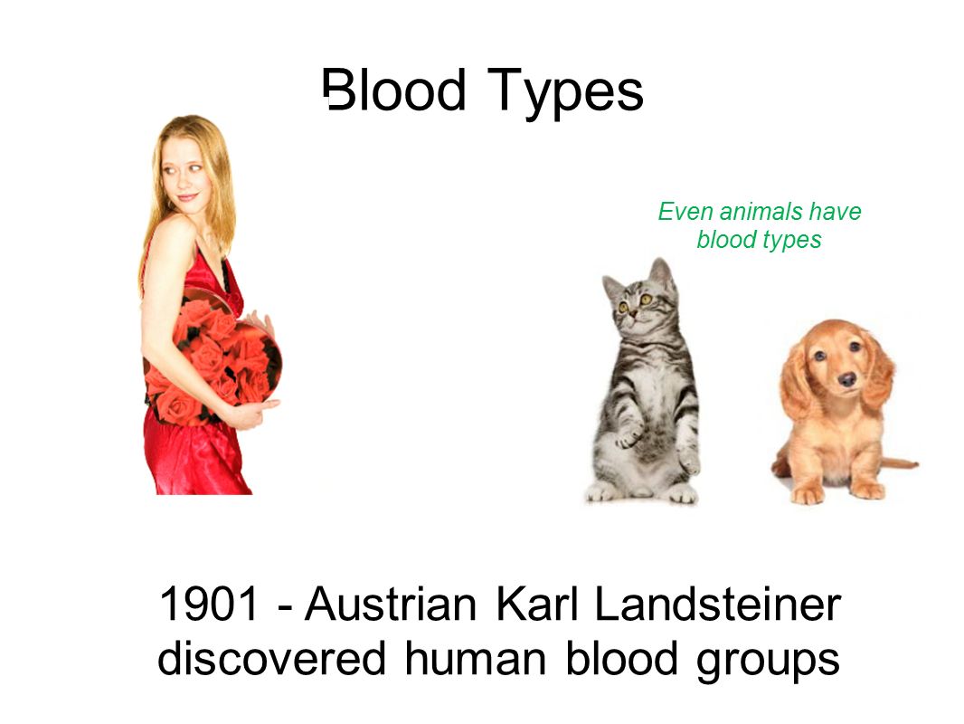 Human blood groups Human blood groups
