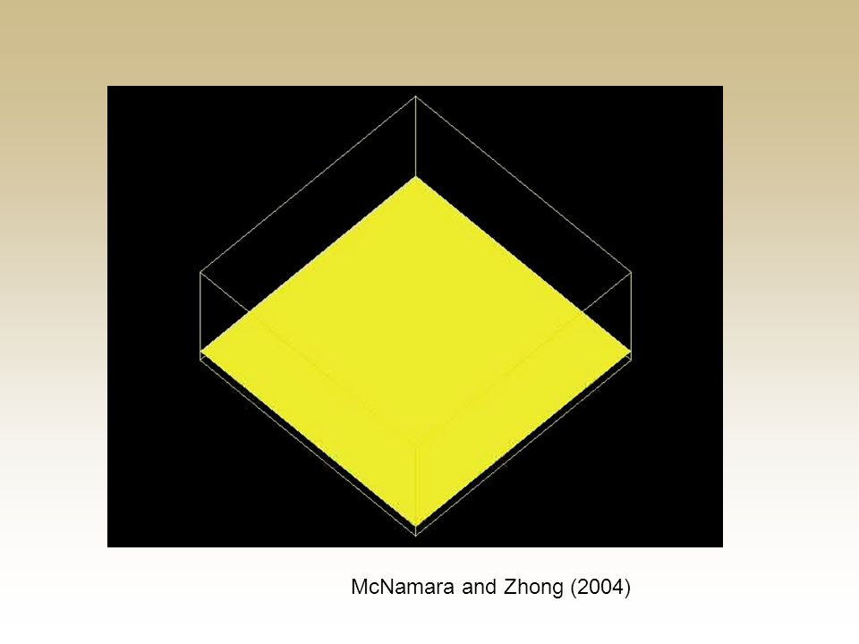 McNamara and Zhong (2004)