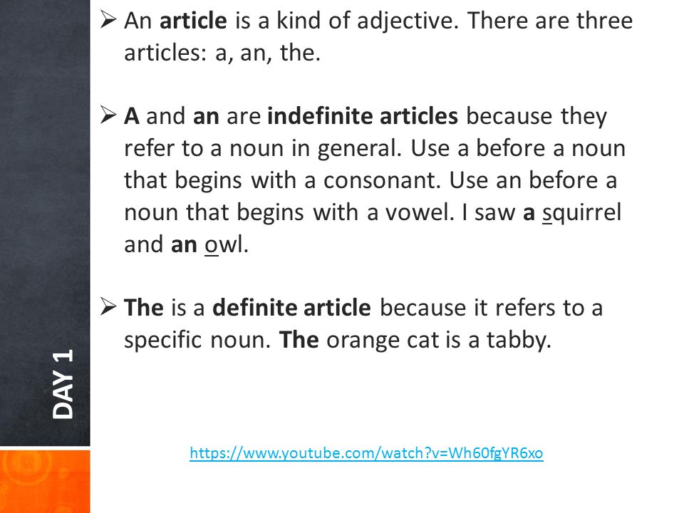 DAY 1  An article is a kind of adjective. There are three articles: a, an, the.