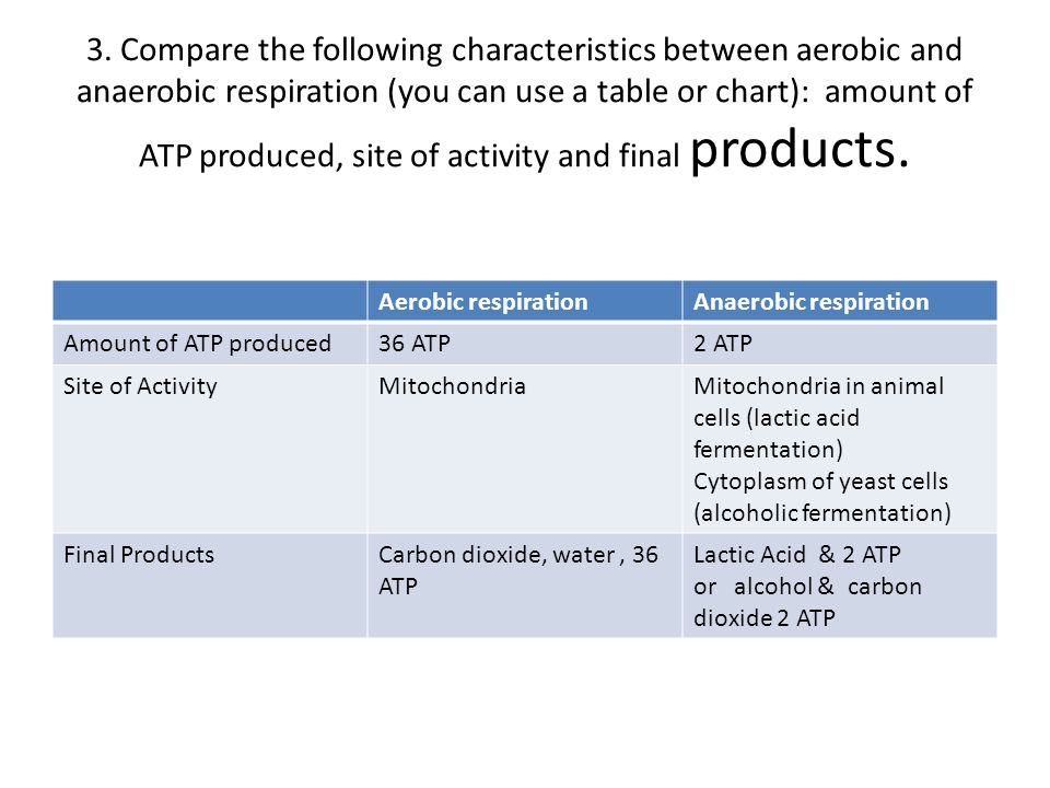 Photosynthesis And Cellular Respiration Comparison Chart Answers