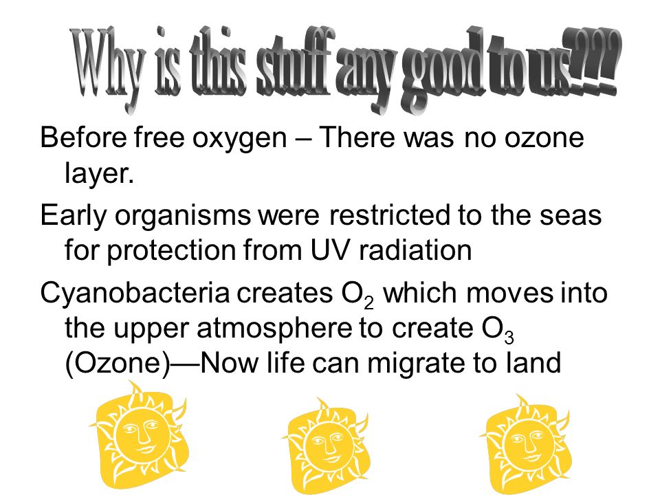 Before free oxygen – There was no ozone layer.