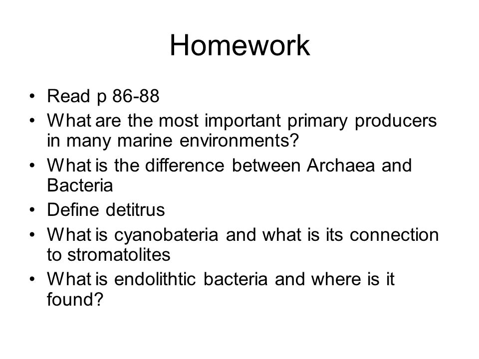 Homework Read p What are the most important primary producers in many marine environments.