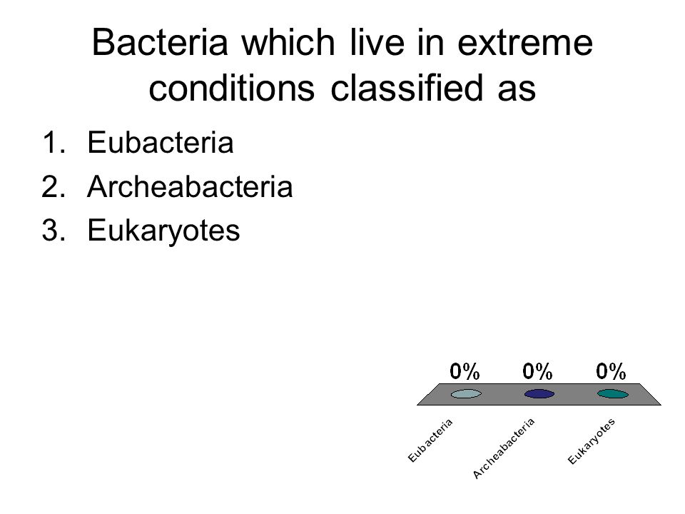 Bacteria which live in extreme conditions classified as 1.Eubacteria 2.Archeabacteria 3.Eukaryotes
