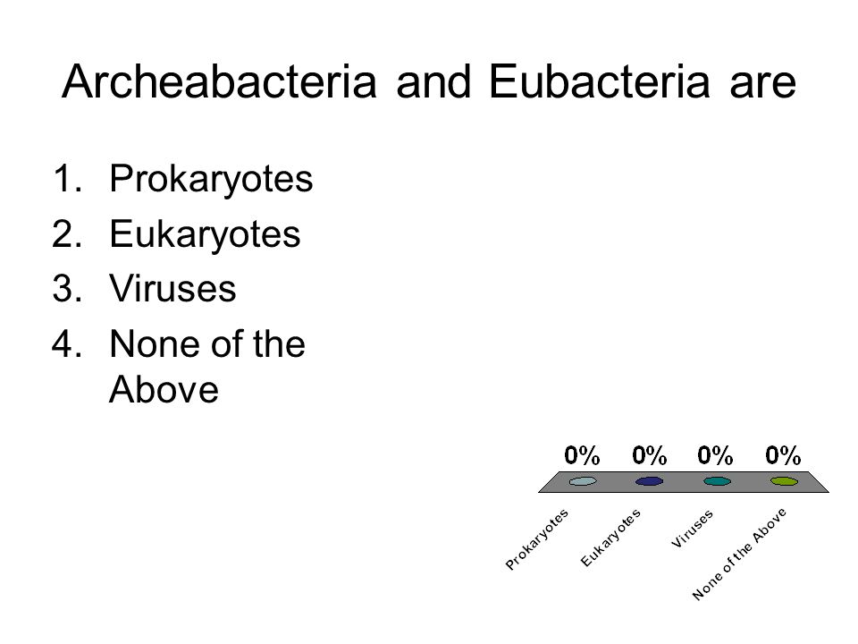 Archeabacteria and Eubacteria are 1.Prokaryotes 2.Eukaryotes 3.Viruses 4.None of the Above
